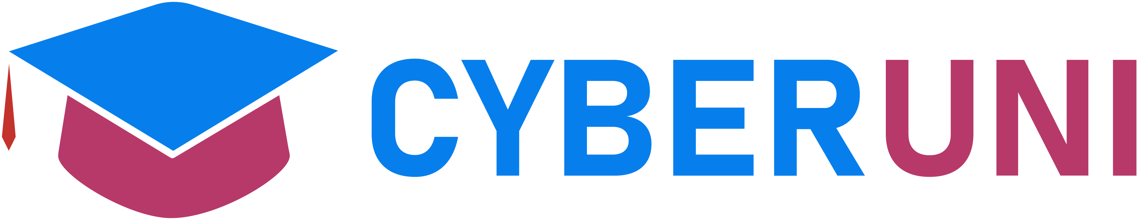 Cyberuni